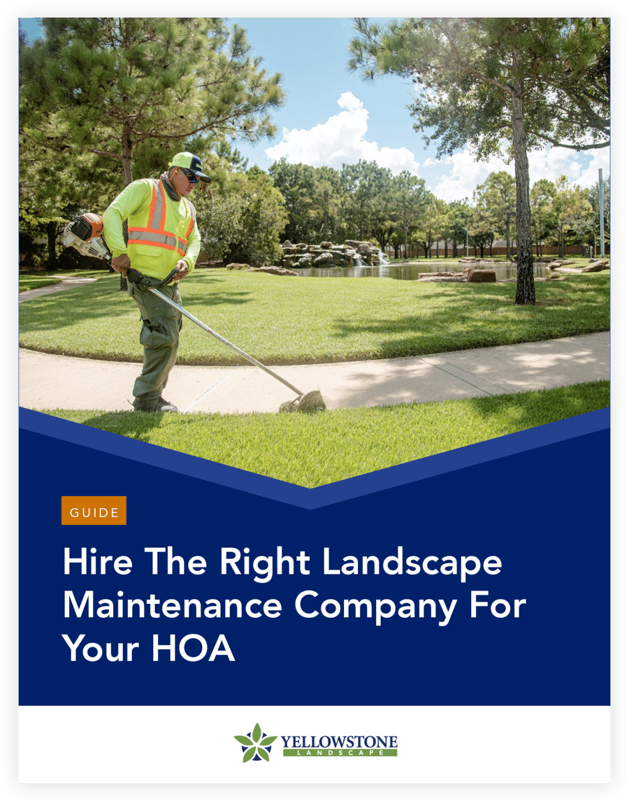 Hoa hiring guide yellowstone landscape